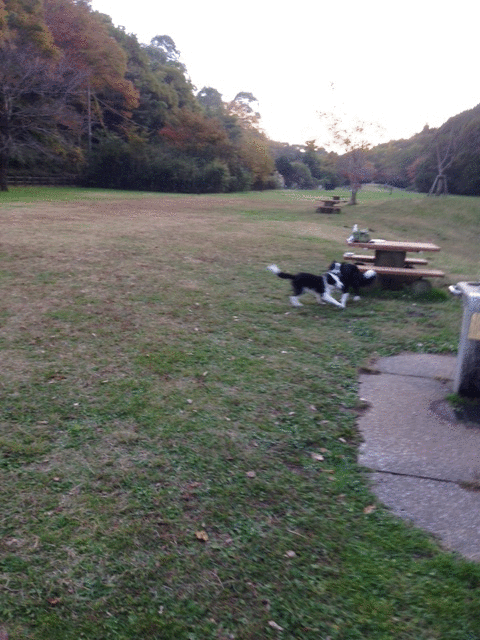 a0232619_19463851.gif