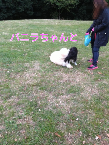 a0232619_19471152.png