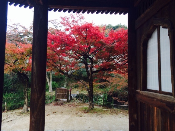 ☆安納芋のスイートポテト＆不動院紅葉狩り☆_f0320020_08073411.jpg