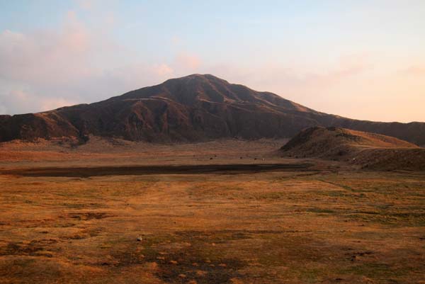 f0147025_20565211.jpg