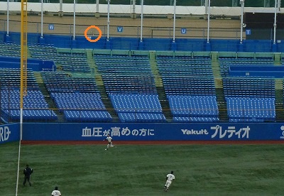b0166128_1455259.jpg