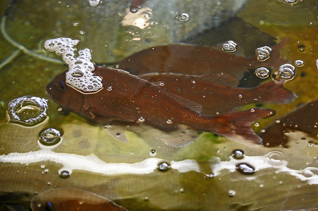 a0242438_1957515.jpg