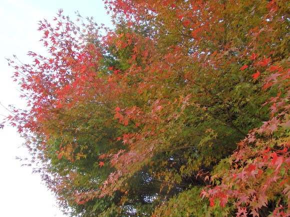 a0054240_2159232.jpg