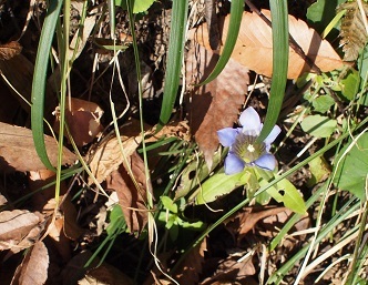 e0272042_20254860.jpg