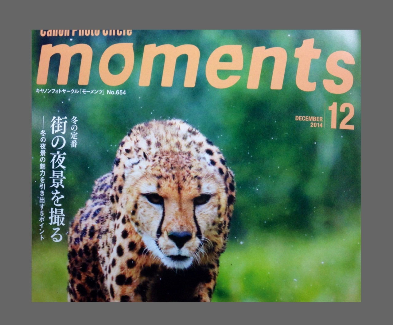 あきらめないでモーメンツ_e0241944_1431835.jpg