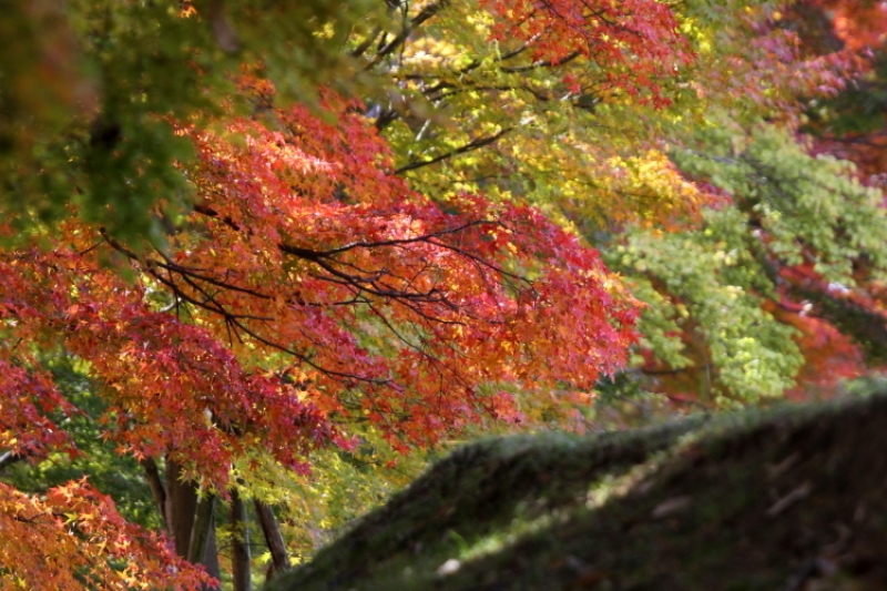 f0281446_21231211.jpg