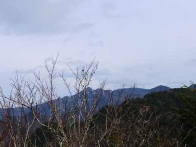須玉の秘峰・・・道ないんですが・・・_f0019247_9383270.jpg