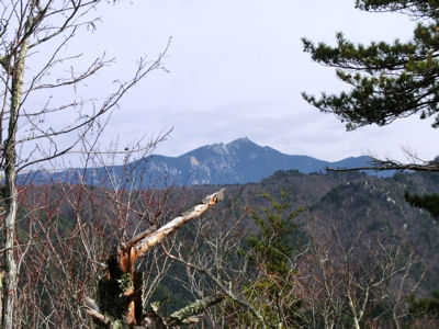 須玉の秘峰・・・道ないんですが・・・_f0019247_938628.jpg