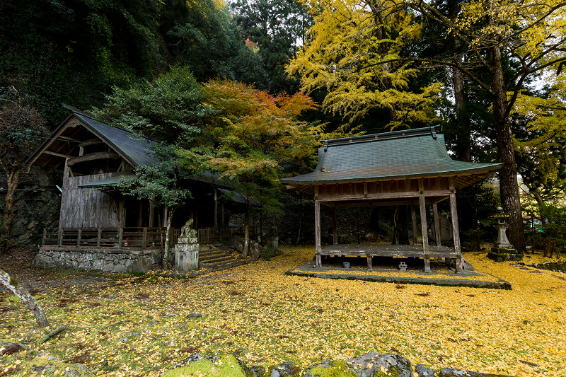 黄色の季節(岩戸落葉神社)_f0155048_2227399.jpg