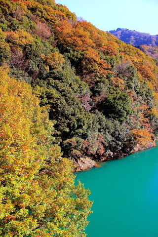 a0248459_19130345.jpg