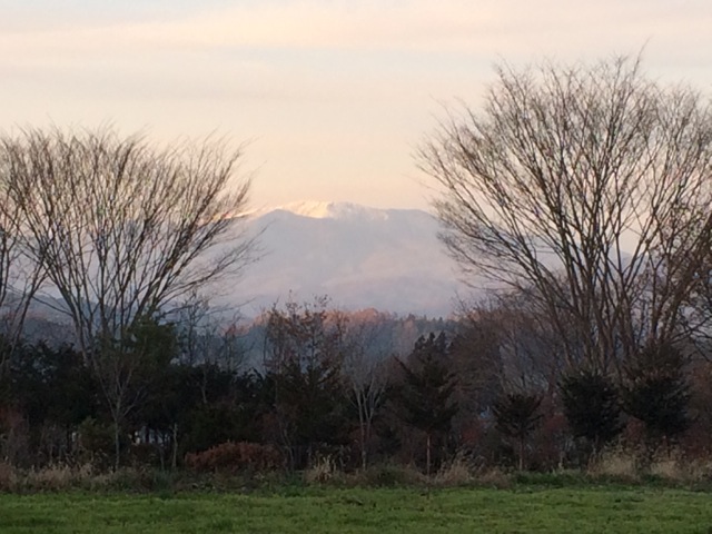 c0251759_2045166.jpg