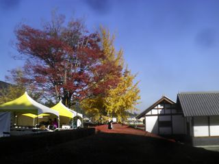 d0045362_21581487.jpg