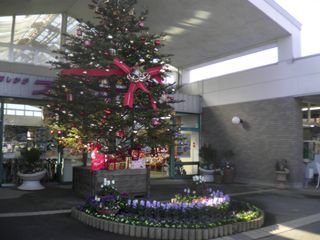 d0045362_21584531.jpg