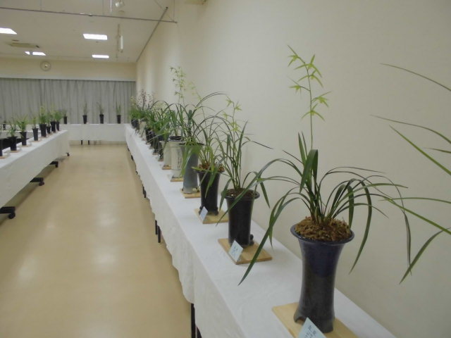 f0318967_20091341.jpg