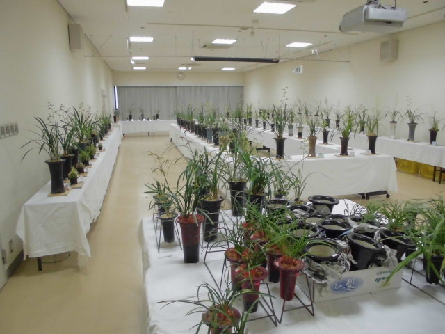 f0318967_20092733.jpg