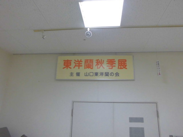 f0318967_20094015.jpg