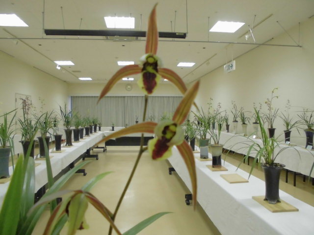 f0318967_20104739.jpg