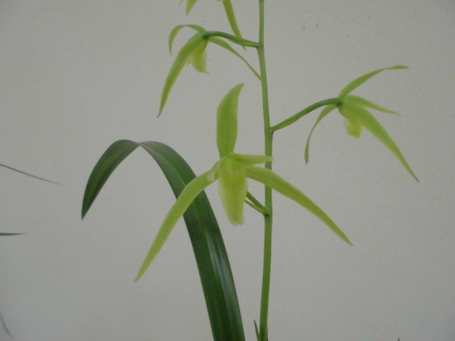 f0318967_20112951.jpg
