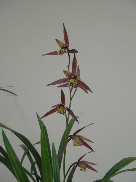 f0318967_20115814.jpg