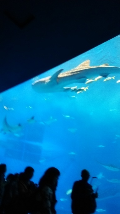 はいさーい!2日目☆_a0134270_03014947.jpg