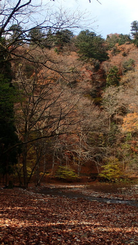 e0024081_07224637.jpg