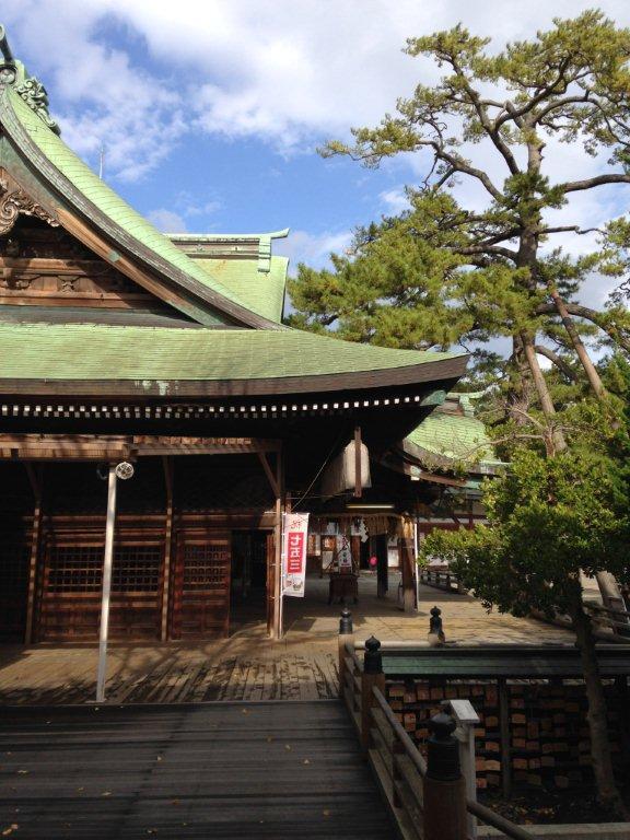 三人まとめて七五三宮詣り_b0349892_08304614.jpg