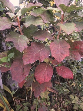 c0117898_19482803.jpg