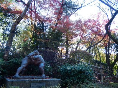 高岡古城公園　紅葉真っ盛り　ＮＯ１_a0079401_14275429.jpg