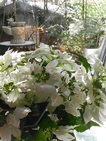 c0152002_10070072.jpg