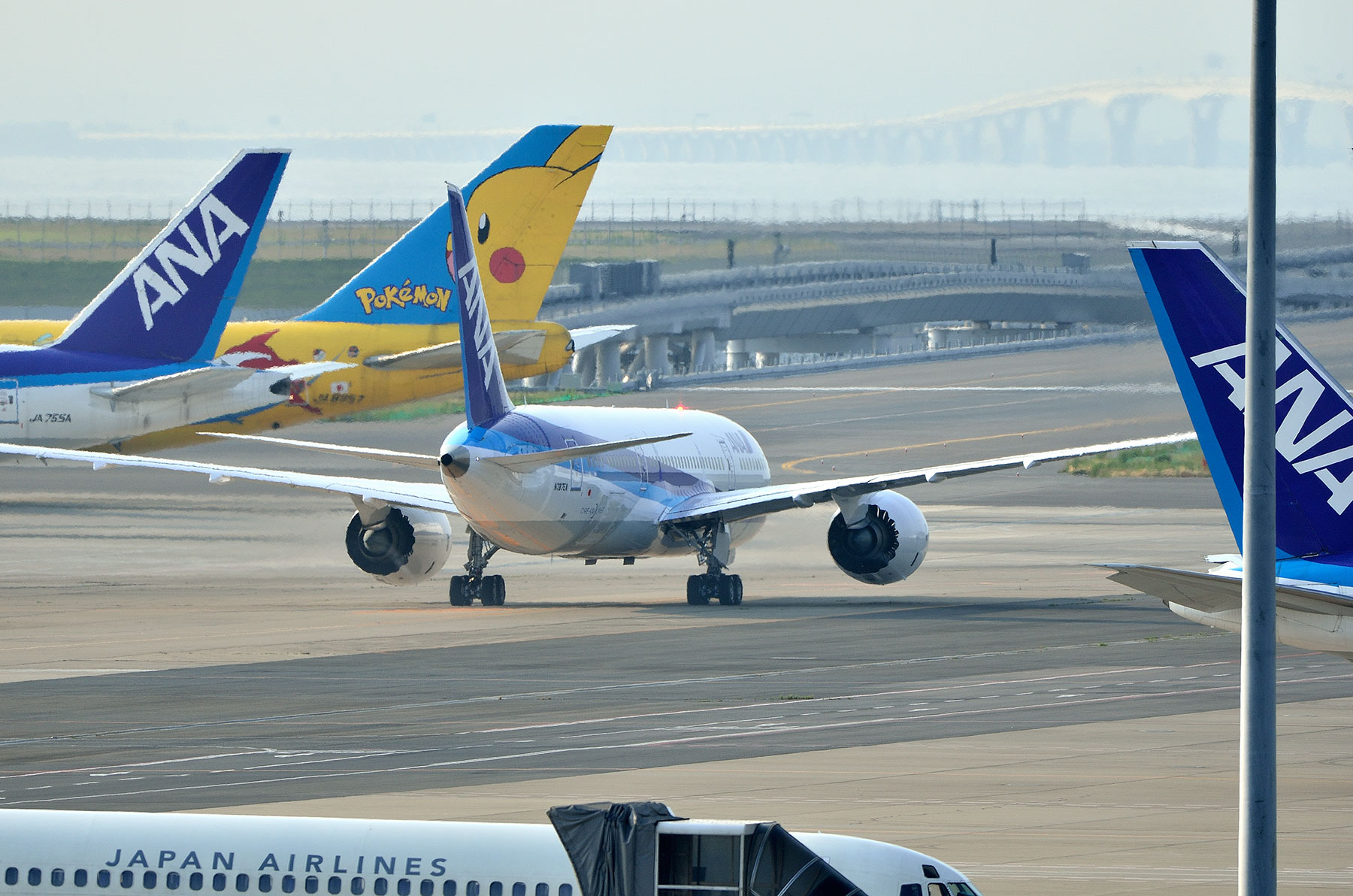 BOEING 787-8 / N787EX - in 羽田空港 - (その1・B787着陸 BOEING 787-8 / N787EX - in 羽田空港 - (その1・B787着陸