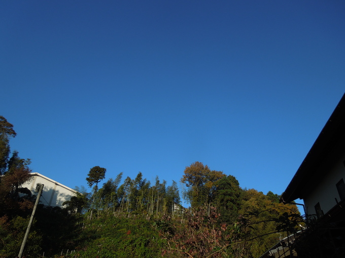 f0297809_2251336.jpg