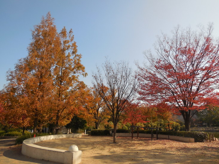 こうすけの 甲山山麓紀行_b0305811_17020950.jpg