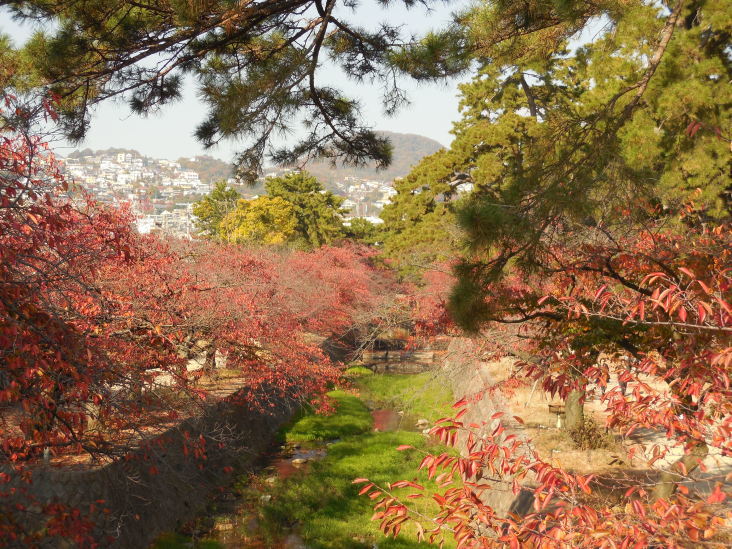 こうすけの 甲山山麓紀行_b0305811_17054177.jpg