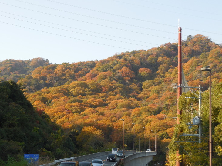こうすけの 甲山山麓紀行_b0305811_17285500.jpg