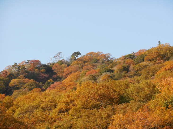 こうすけの 甲山山麓紀行_b0305811_17383777.jpg