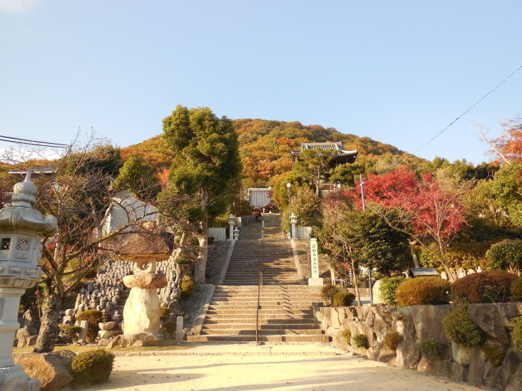 こうすけの 甲山山麓紀行_b0305811_18450557.jpg