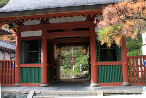14紅葉めぐり 28おたぎ(愛宕)寺_e0048413_19521239.jpg