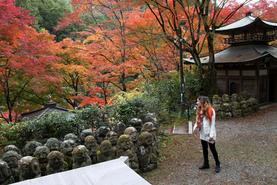 14紅葉めぐり 28おたぎ(愛宕)寺_e0048413_19525943.jpg