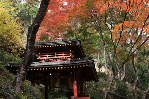14紅葉めぐり 28おたぎ(愛宕)寺_e0048413_19532370.jpg