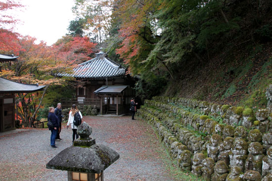 14紅葉めぐり 28おたぎ(愛宕)寺_e0048413_1953250.jpg