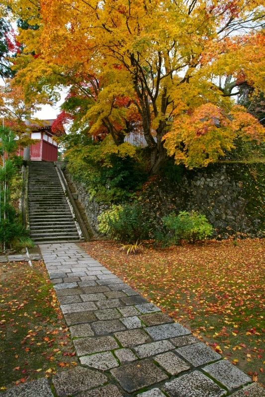 成相寺_e0177413_1010249.jpg