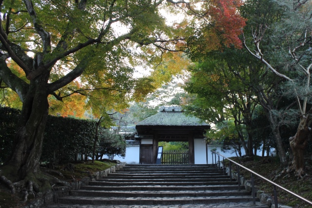 c0162817_2027389.jpg
