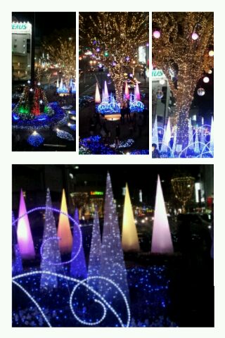 イルミネーション_d0049817_22262689.jpg