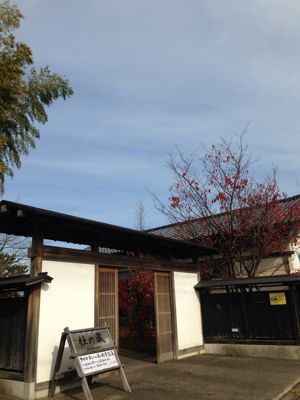 タナカキン・高橋青佳コラボ展_a0126418_2124610.jpg
