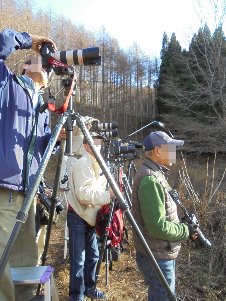 撮り鉄の一日_c0111229_198362.jpg