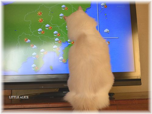 ☆今日のお天気は・・・?_c0080132_811388.jpg