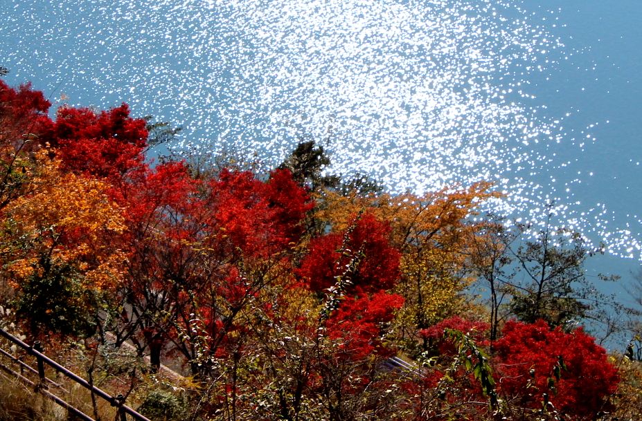 22/November 朝のダブル富士と天使の羽と丹沢湖の紅葉_e0149934_2220910.jpg