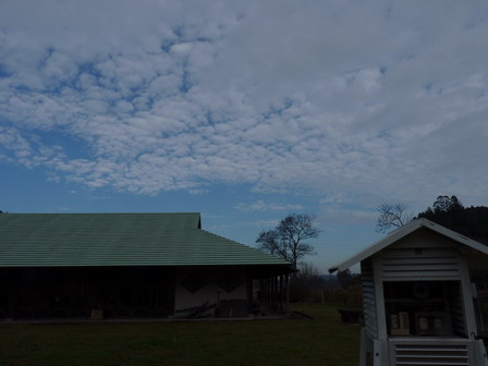 a0123836_1726413.jpg