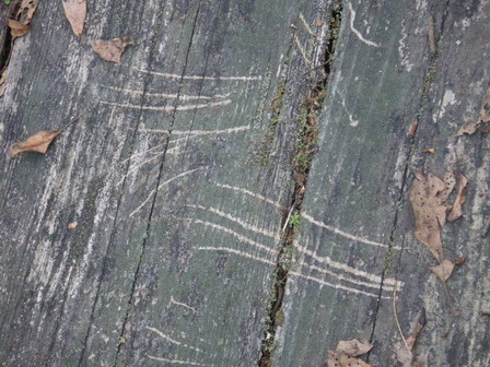 a0123836_1731388.jpg
