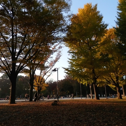 Autumn Park　_b0214436_22501993.jpg